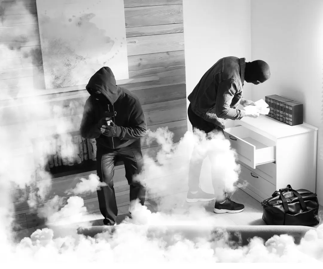 empresa de seguridad málaga para negocios